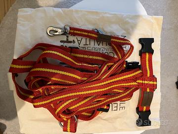 Pettorina e guinzaglio Haqihana