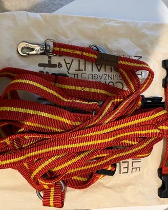 Pettorina e guinzaglio Haqihana