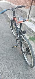 MTB rokies obisio