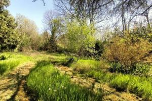 Terreno di 15000 m² a Castiglione delle Stiviere