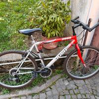bicicletta MTB rush