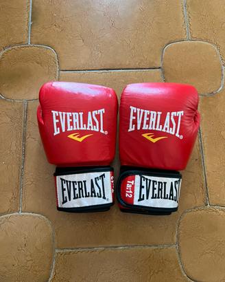 Guantoni da boxe Everlast