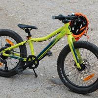 scott Roxter 20 plus 