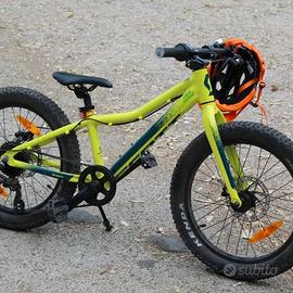 scott Roxter 20 plus 