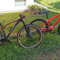 MTB 29 carbonio diverse marche 