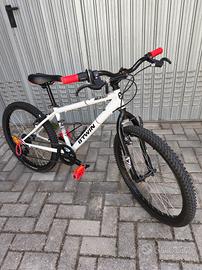 MTB raggi 24