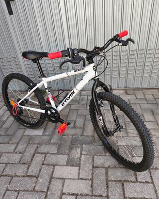 MTB raggi 24