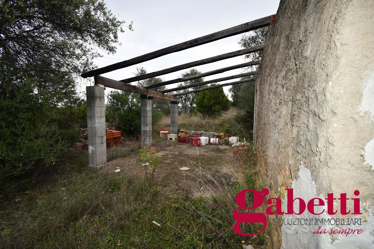 Terreno Agricolo Sorso [cod. rif6000745VRG] - Vista 3