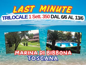 Last minute Trilocale giugno Marina di Bibbona