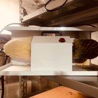 Lustrascarpe eletrico