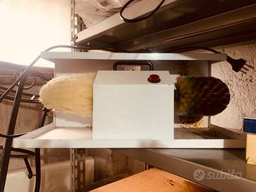 Lustrascarpe eletrico