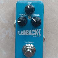 TC Electronic flashback mini delay 