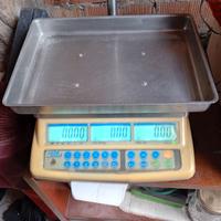 bilancia elettronica