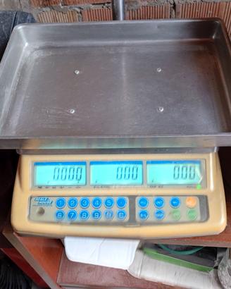 bilancia elettronica