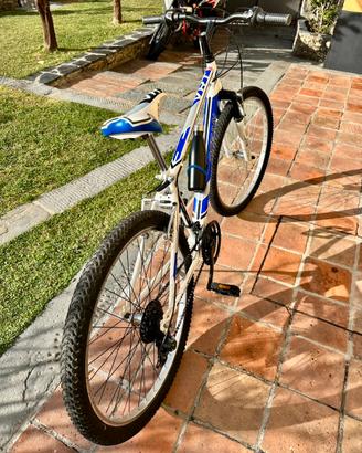 Bicicletta montainbike 26