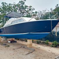 Chris Craft 25 Express Cruiser 