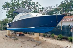 Chris Craft 25 Express Cruiser 