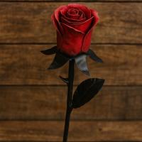 Rosa in ferro battuto