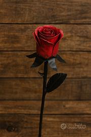 Rosa in ferro battuto