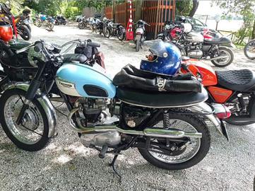 Triumph Trophy Tr6