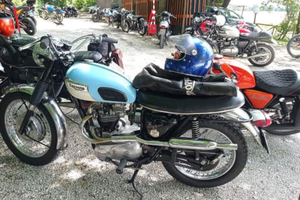 Triumph Trophy Tr6