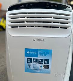 Climatizzatore Portatile/Pinguino