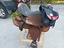 Immagine 1