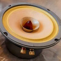 Fullrange Lii Audio Fast 6.5