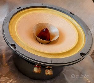 Fullrange Lii Audio Fast 6.5