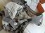 Immagine 2