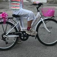 Bici daytona per bambina ruote 24