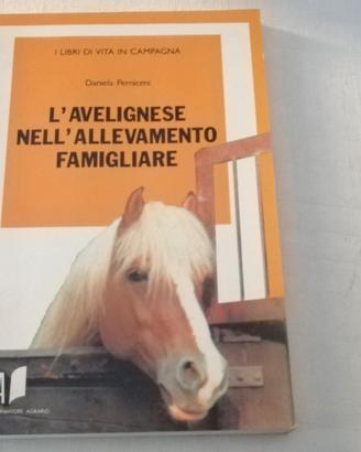 L'Avelignese nell'Allevamento Famigliare