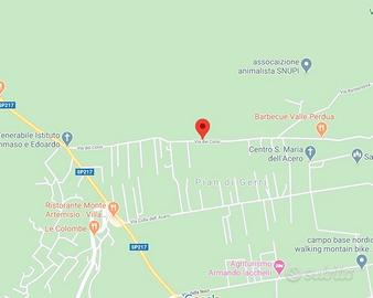 Vendita o Affitto Terreno 11.000 metri