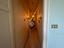 Immagine 12