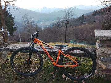 Bici MTB