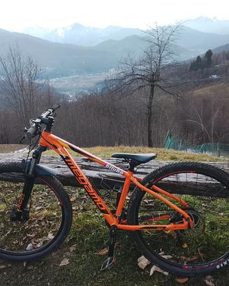 Bici MTB