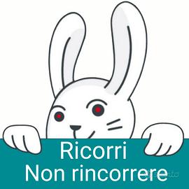 Badante di compagnia