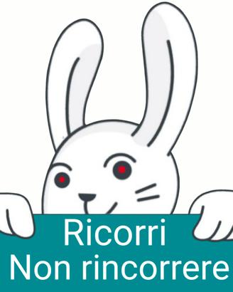 Badante di compagnia