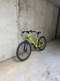 Mountain bike