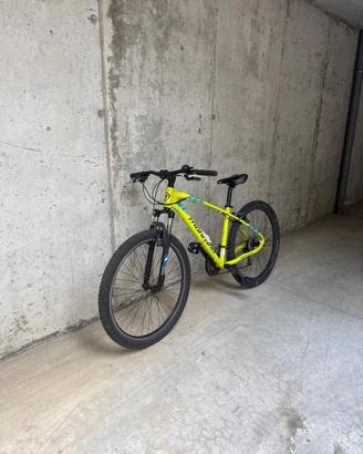 Mountain bike
