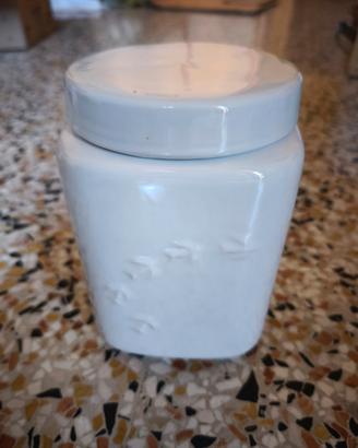 biscottiera mulino bianco 