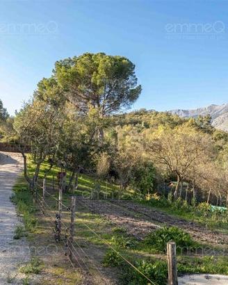 Terreno con Villetta
