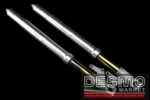 Forche forcelle Showa Ducati Monster S4 S4R