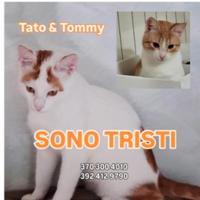 2mici bianchi/rossi 10mesi SOS CASA.ROMA