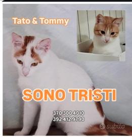 2mici bianchi/rossi 10mesi SOS CASA.ROMA
