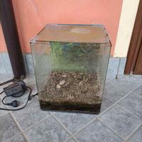 acquario per pesci tropicali o rossi 35 litri