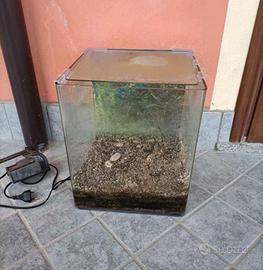 acquario per pesci tropicali o rossi 35 litri