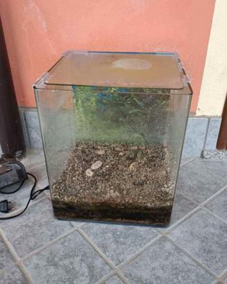 acquario per pesci tropicali o rossi 35 litri