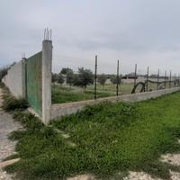 Pitz'e Serra terreno recintato