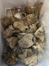 Rocce acquario marino